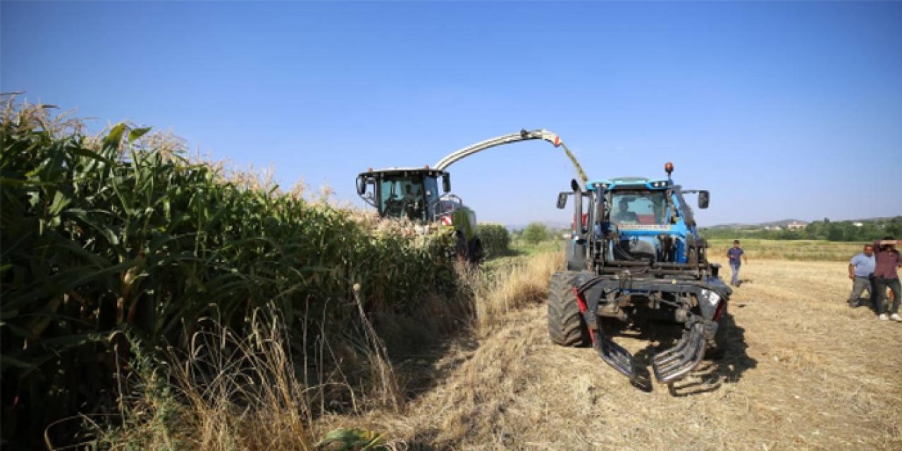 Çiftçilere yaklaşık 827 milyon lira destek ödemesi yapılacak