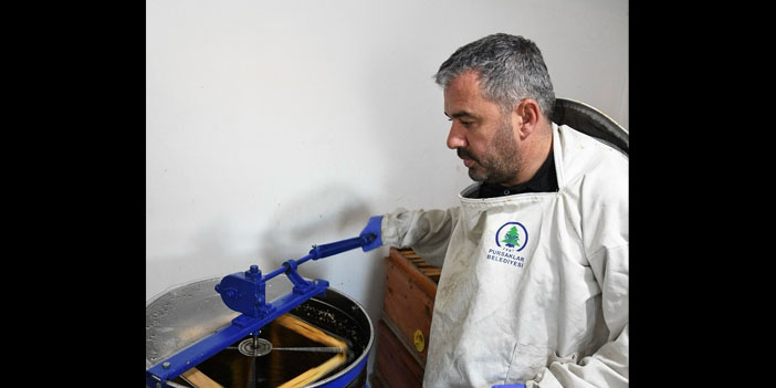 Pursaklar’da organik bal hasadı başladı