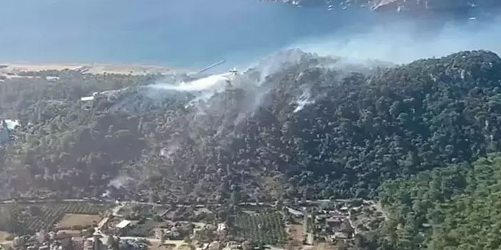 Muğla’nın Ortaca ilçesinde orman yangını çıktı