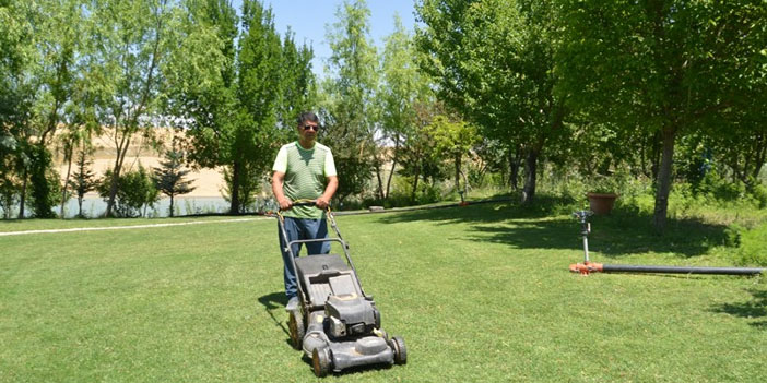 Kanseri yendi, köyüne döndü: 65 dönümlük çorak araziyi cennete çevirdi