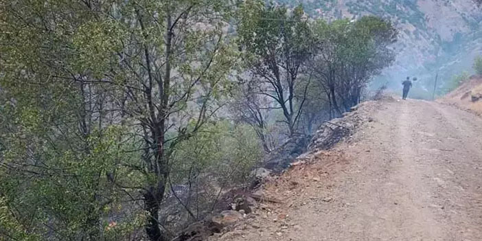 Elazığ Sivrice’deki örtü yangını kontrol altına alındı