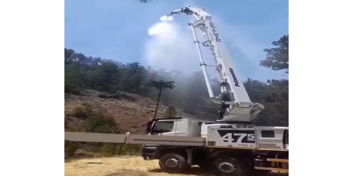 Beton pompasıyla alevlere su sıkıp orman yangınına müdahale ettiler