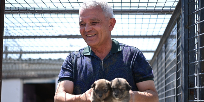Mamak Belediyesi yangın bölgesinde: 3 yavru köpek kurtarıldı, koruma altına alındı