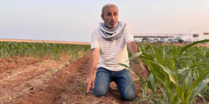 Aynı tarlada iki farklı sonuç: Çiftçiden tohum firmasına dava