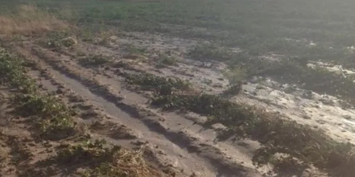 Beypazarı’nda sel felaketi: Ekili araziler sular altında kaldı