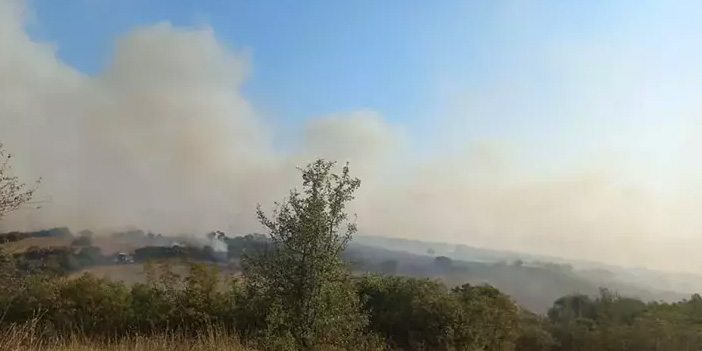 Balıkesir'de tarım arazisinde yangın kontrol altına altına alındı