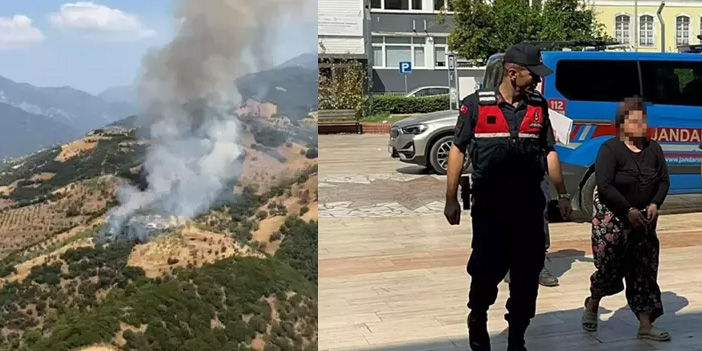 Kayınpederiyle tartışan gelin, tarlayı ateşe verdi: 3 Hektar alan yandı