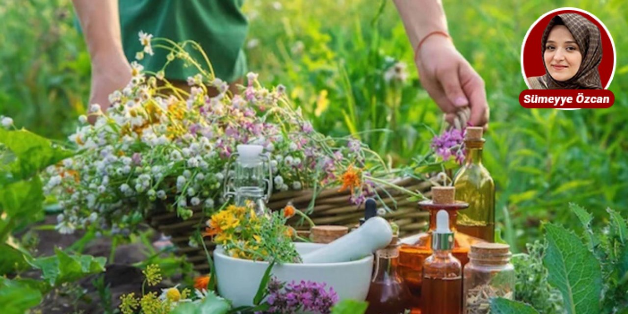 ABB’den Tıbbi ve Aromatik Bitki Kursu için kayıtlar başladı