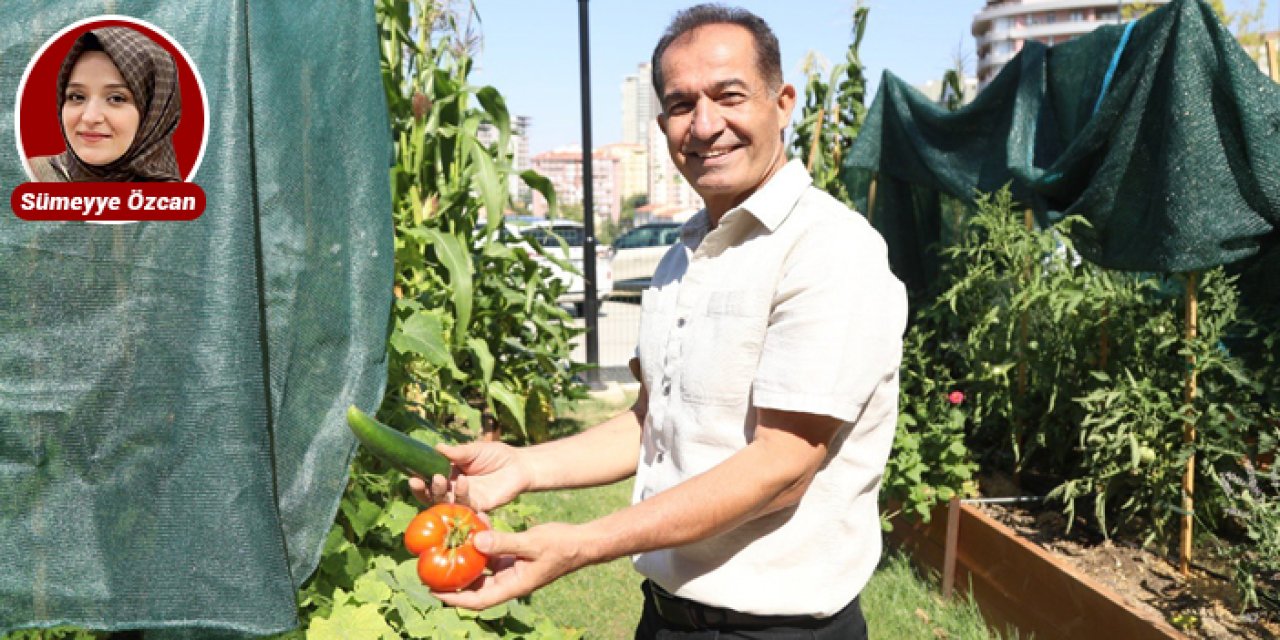 Çankaya Kent Bostanı’nda sezonun ilk ürünleri toplandı