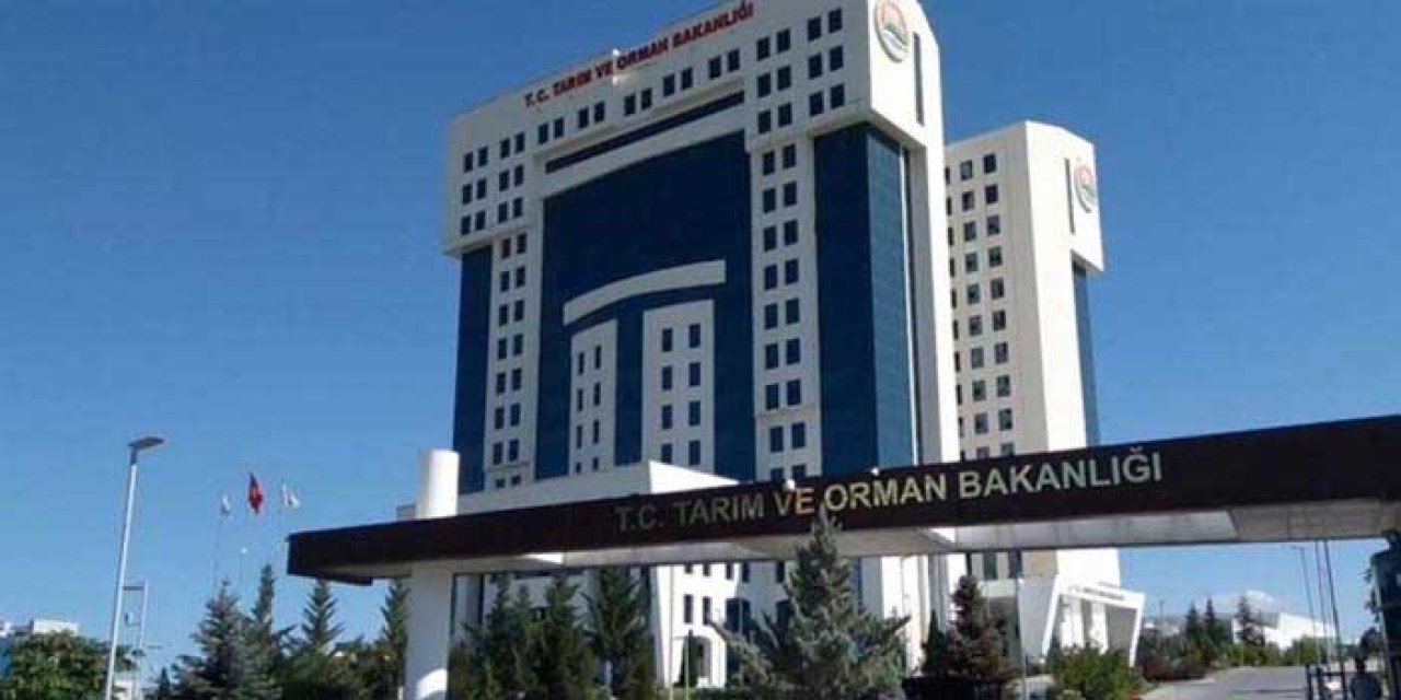 Çeşme'de su hasreti bitiyor: İki baraj bugün hizmete açıldı
