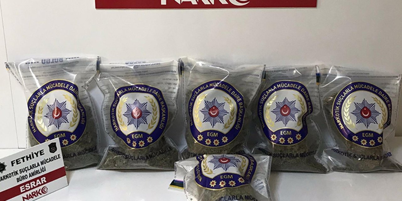 Muğla’da büyük uyuşturucu operasyonu
