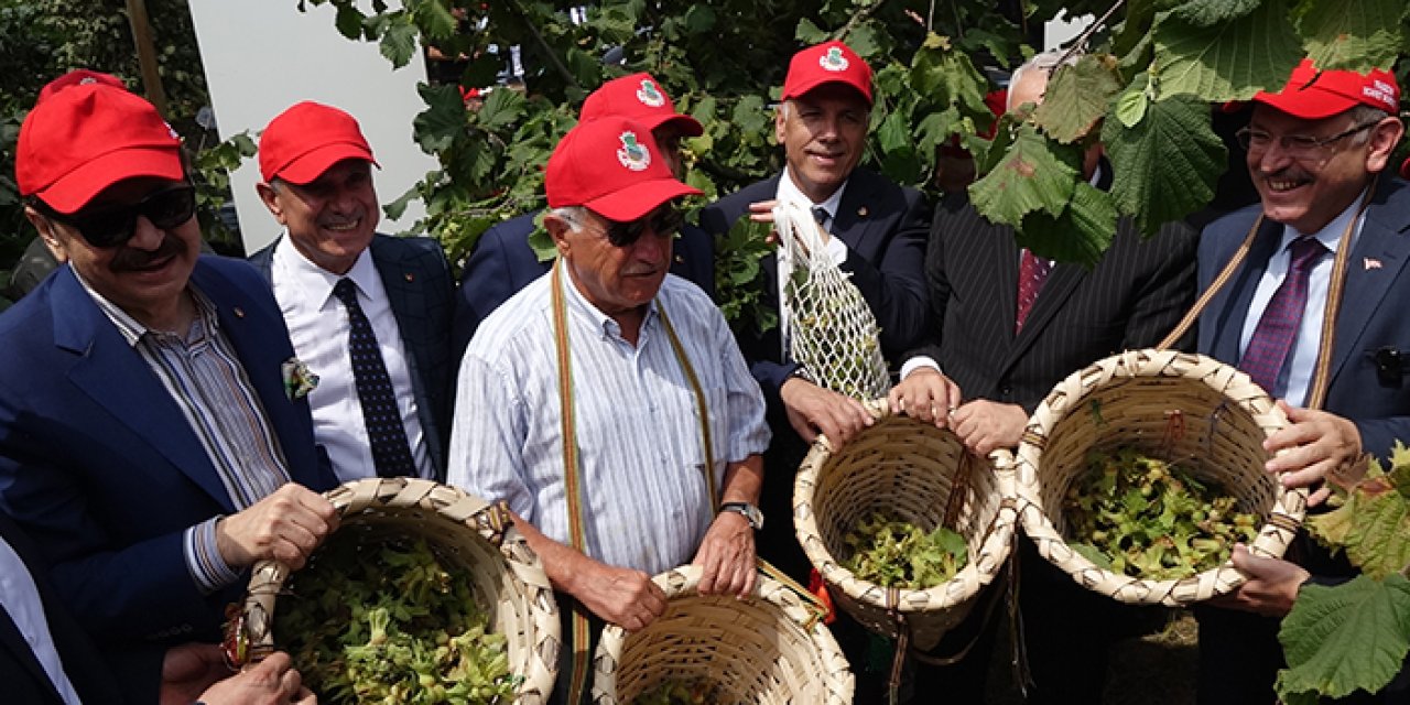 Trabzon’da ‘Dünya fındık haftası’ hasatla başladı