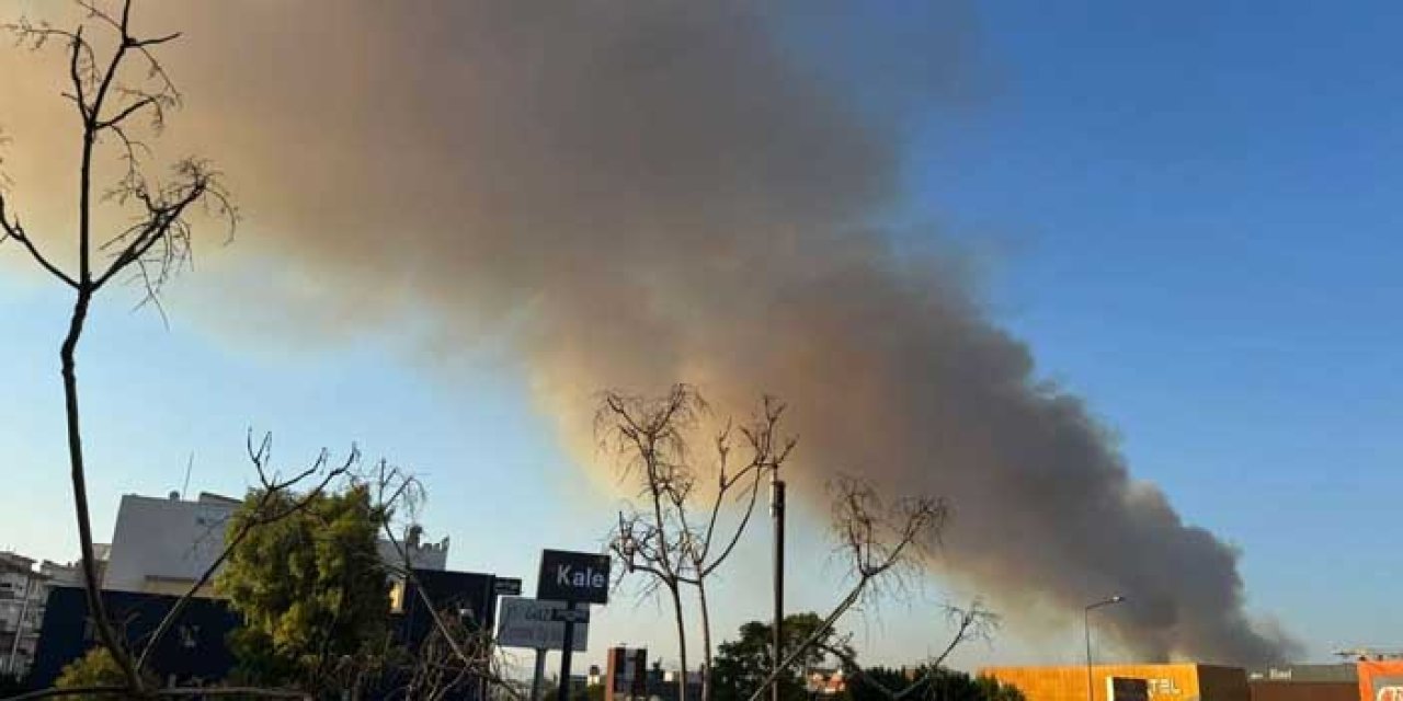 İzmir Buca'da orman yangını: Trafik tek şeride düştü