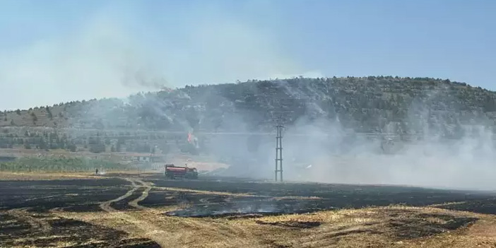 Ilgın'da anız yangını ormana sıçradı, itfaiye ve orman ekipleri hızla müdahale etti