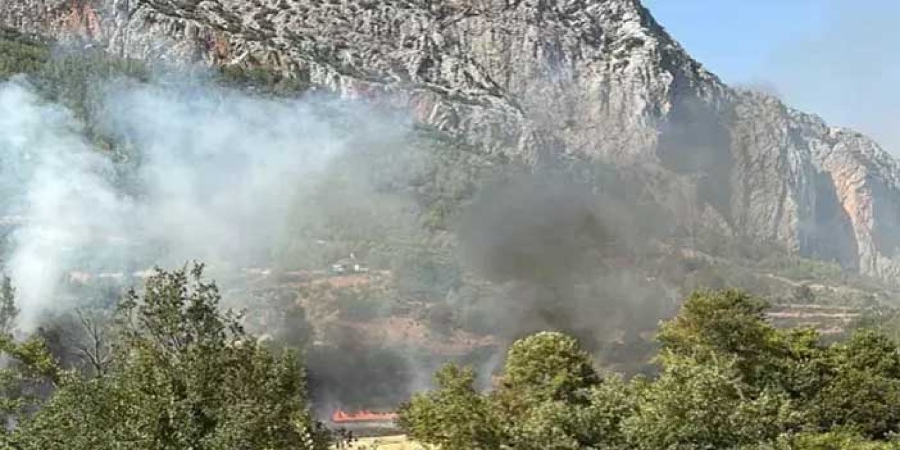 İzmir'de kara yolunda çıkan yangın ormanlık alana sıçradı