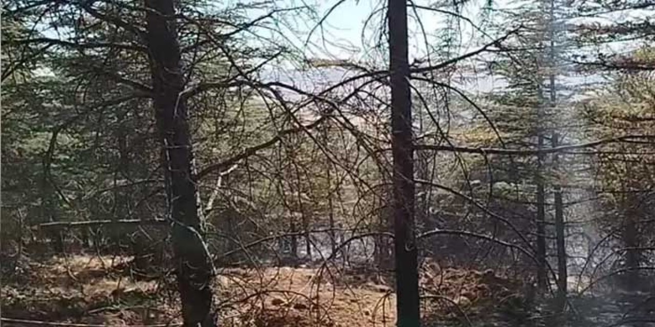 Ankara'da ot yangınında alevler ormana sıçradı