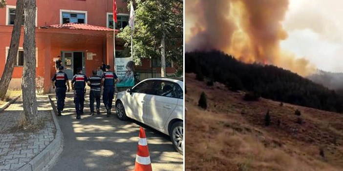 Akılalmaz yangın itirafı: Arıları sakinleştirmek istedi, 80 hektar ormanı kül etti