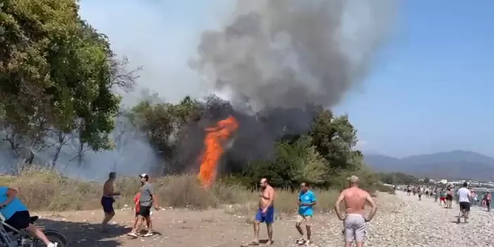Muğla'da orman yangını: Fethiye'de alevlere müdahale sürüyor