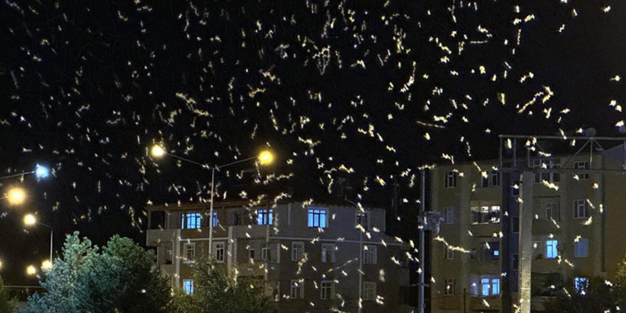 Ardahan’da “Bir Günlükler”in büyüleyici dansı başladı