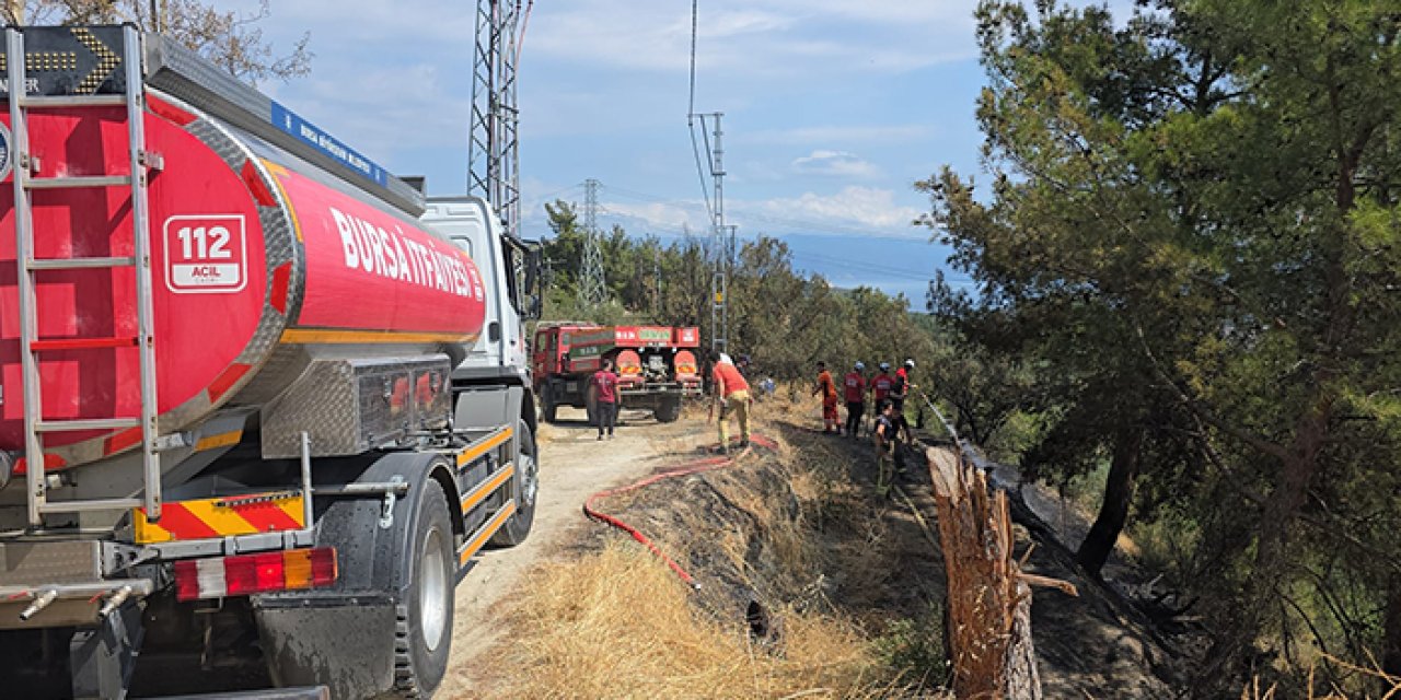 Mudanya’da orman yangını paniği: 1 dönümlük alan küle döndü