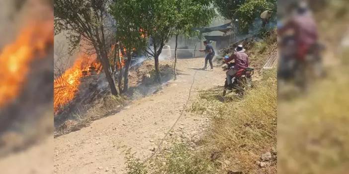 Malatya’da orman yangını: 1 ev zarar gördü