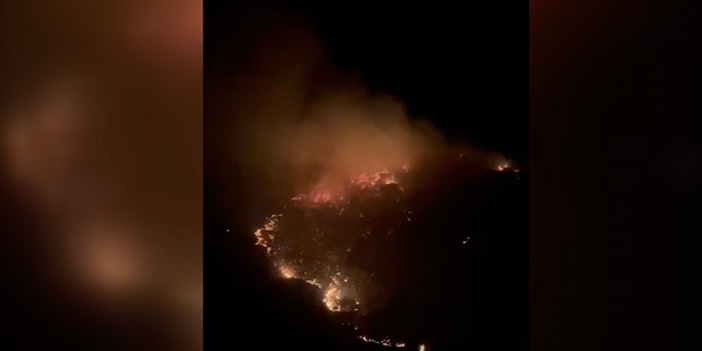 Marmara Adası’ndaki orman yangını kontrol altına alındı