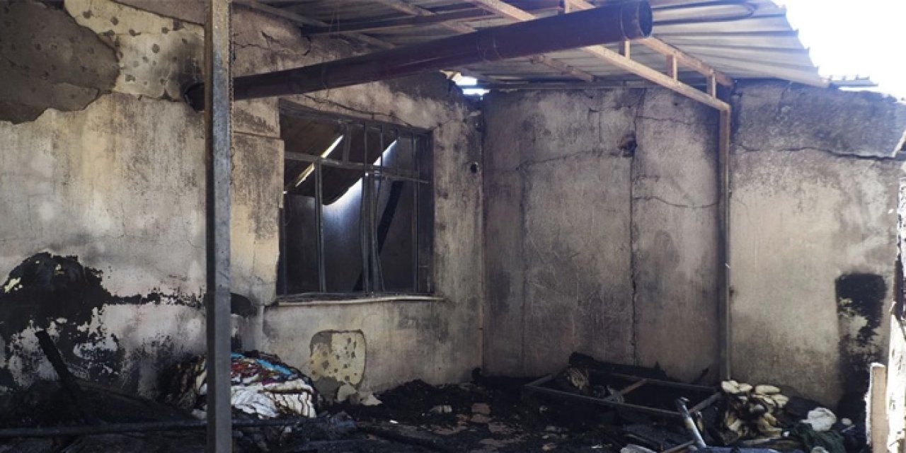 İzmir'de barakada başlayan yangın felakete dönüştü: Hayvanlar telef oldu