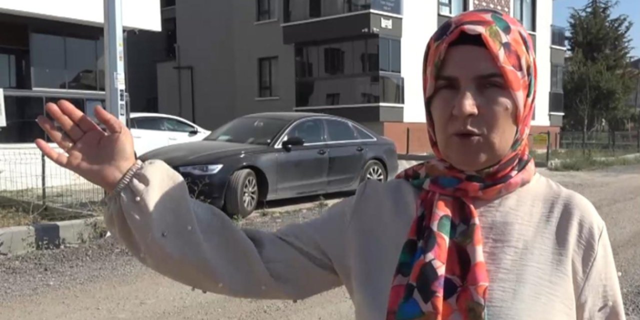 Çankaya’da tasmasız kangallar dehşeti: Kadın ve köpeği yaralandı