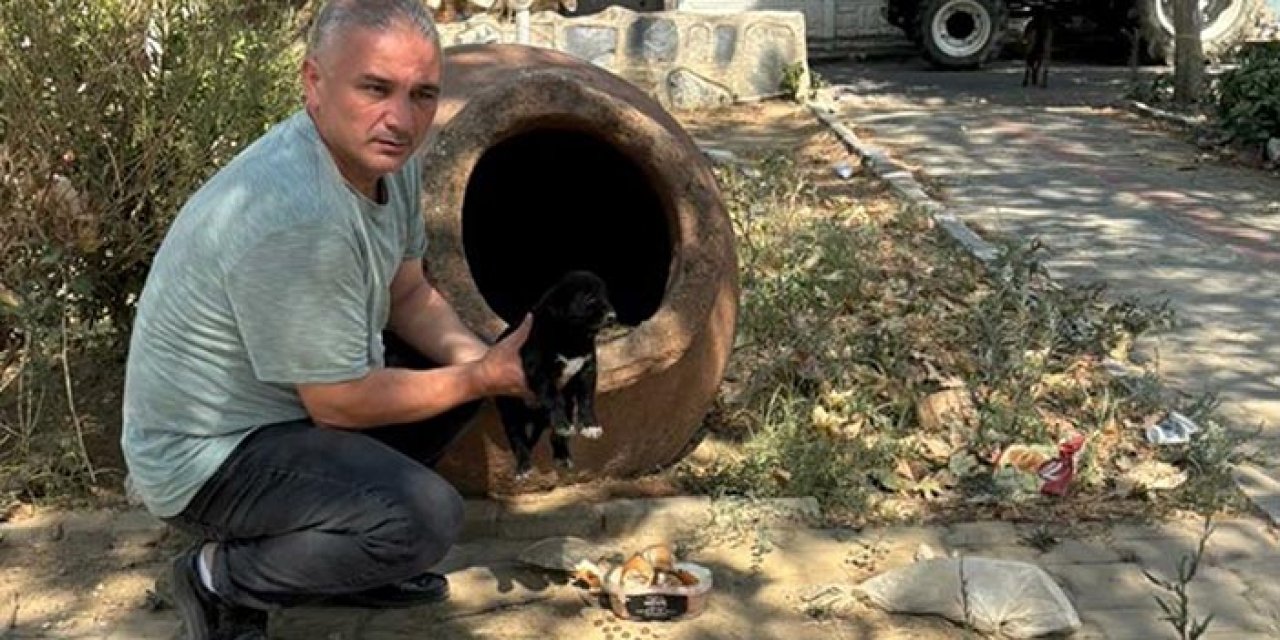 İzmir’de vahşet: 10 köpek ve 5 kedi zehirlenerek öldürüldü