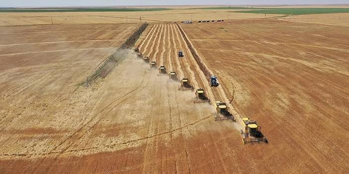 Tarımda 'kiralık arsa' dönemi başlıyor! 14 bin dekar arazi sezonluk kiraya verilecek