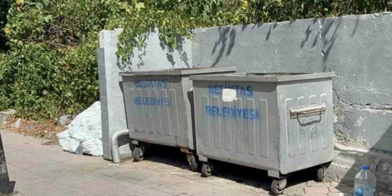 Korkunç olay! Çöpte bebek cesedi bulundu