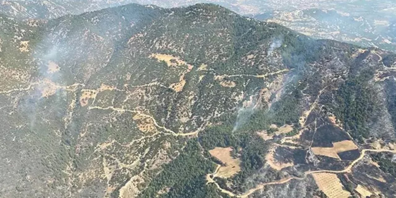 Aydın’daki orman yangına müdahale sürüyor
