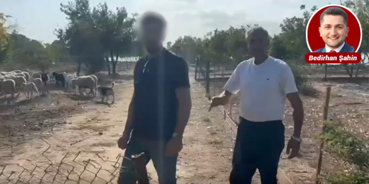 Çorlu’da çalınan koyunlar 50 saatlik takip sonrası bulundu