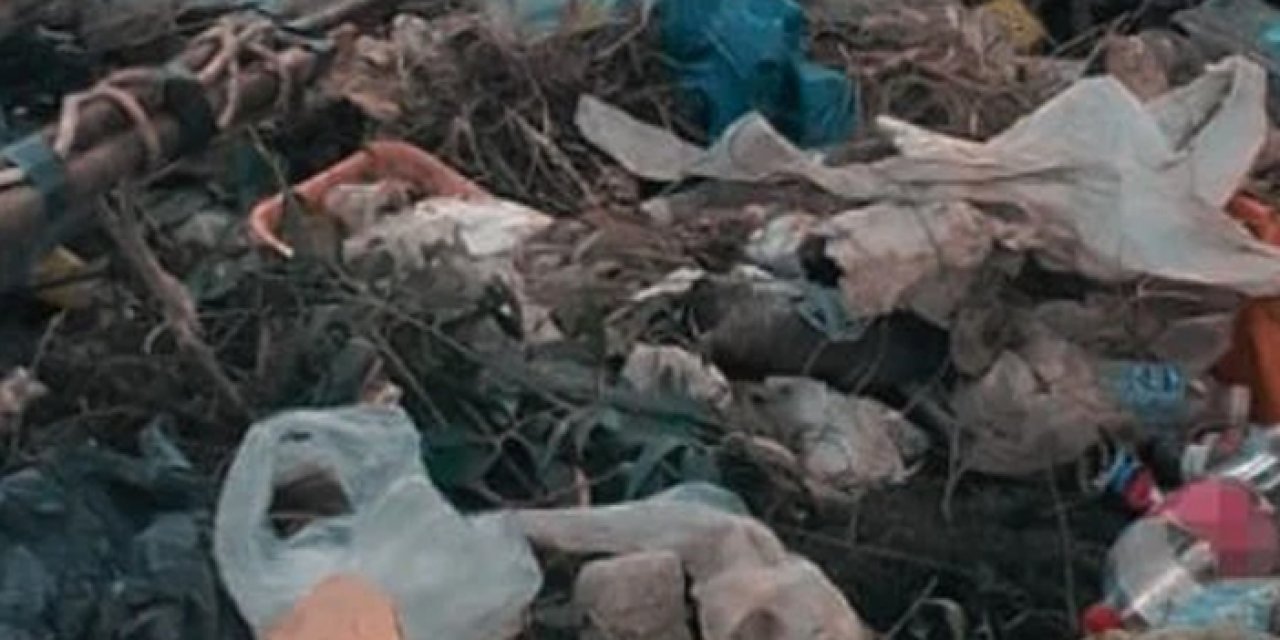Çubuk Gölü'nü köylüler temizledi