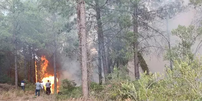 Osmaniye’de orman yangını: Havadan ve karadan müdahale başladı