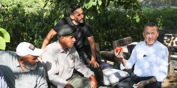 AK Parti’den Ayaş’ta çiftçi ziyareti: Domates hasadına katıldılar