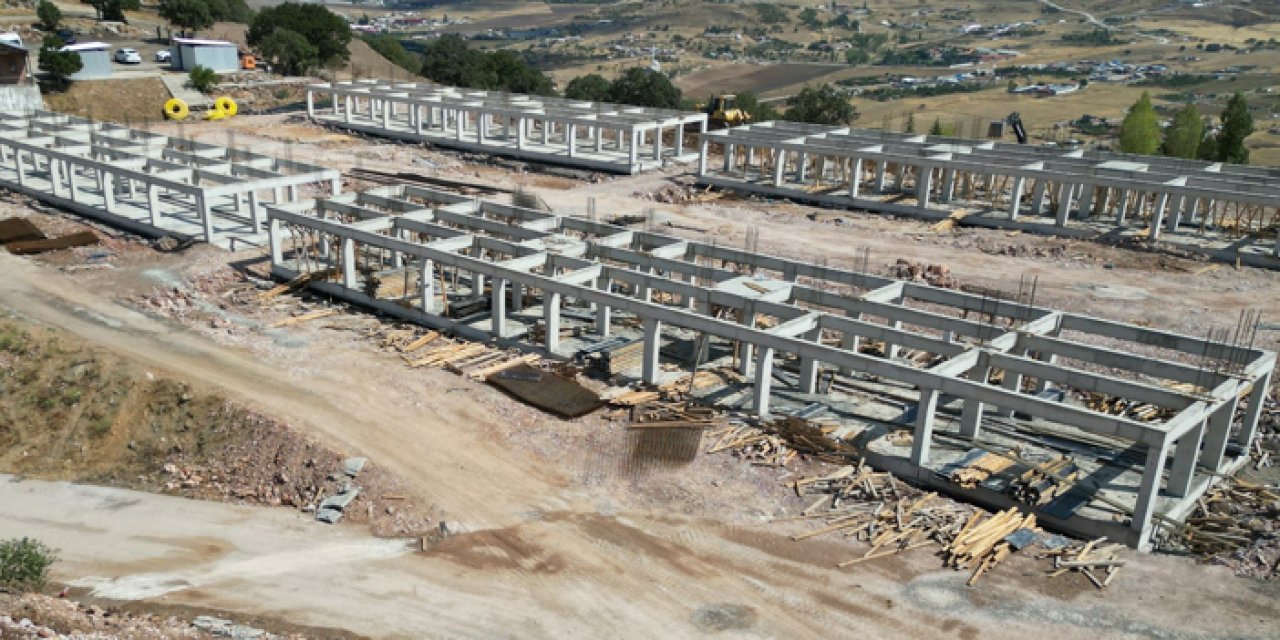 Altındağ’da Sokak Hayvanları Yaşam ve Rehabilitasyon Merkezi yükseliyor