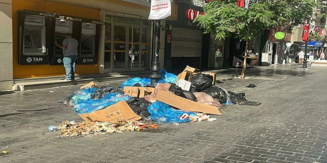 İzmir Karşıyaka'da çöp krizi! İlçede fareler cirit atmaya başladı