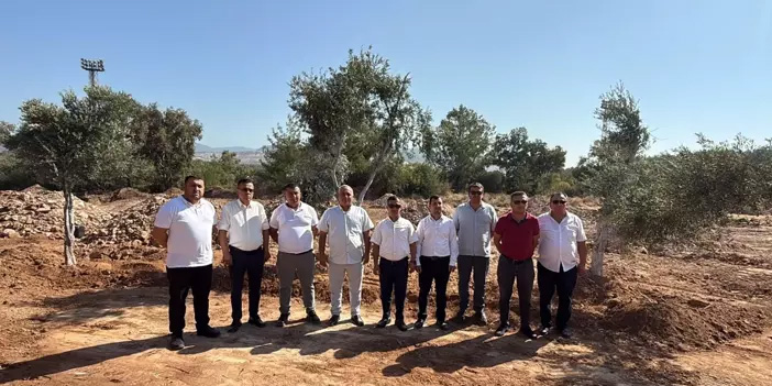 Enerji çalışmalarıyla tehdit altındaki zeytinler yeni yerlerinde yaşatılıyor