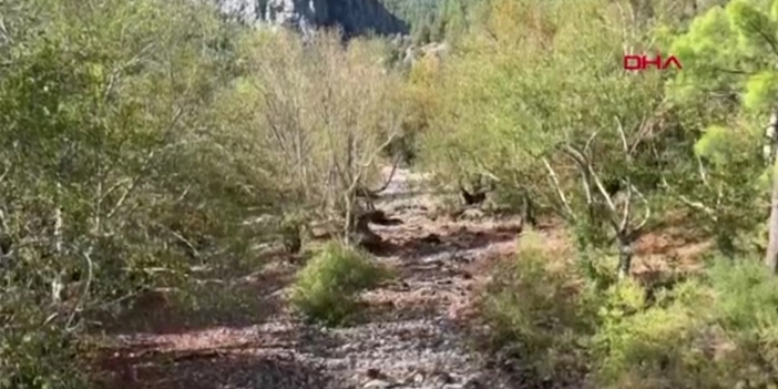 Antalya’da Üzümdere Irmağı kurudu