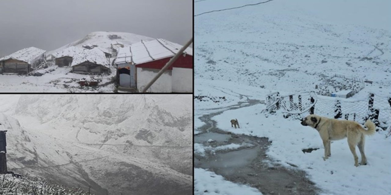Rize, Artvin ve Ardahan’ın yüksek kesimlerini eylül karı