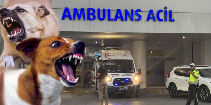 Felahiye’de çoban köpeğinin saldırısına uğrayan kadın hayatını kaybetti