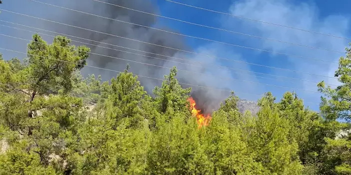 Serik’te orman yangını