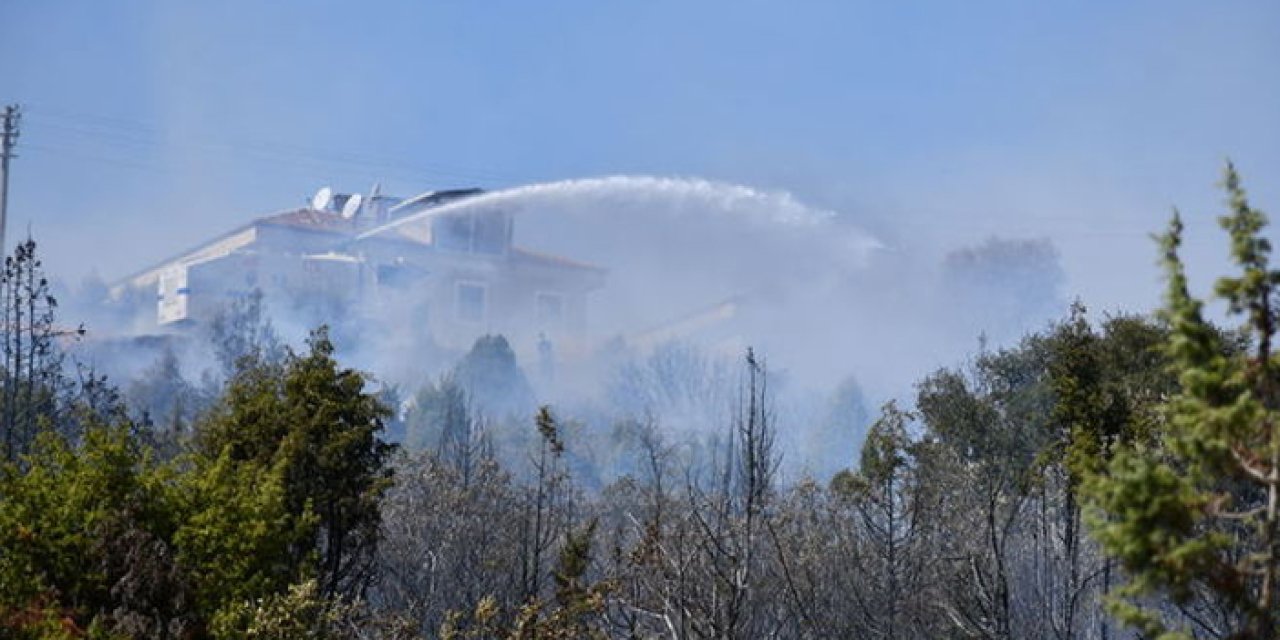 Salça kazanı kıvılcım saçtı, 30 dönüm makilik alan yandı