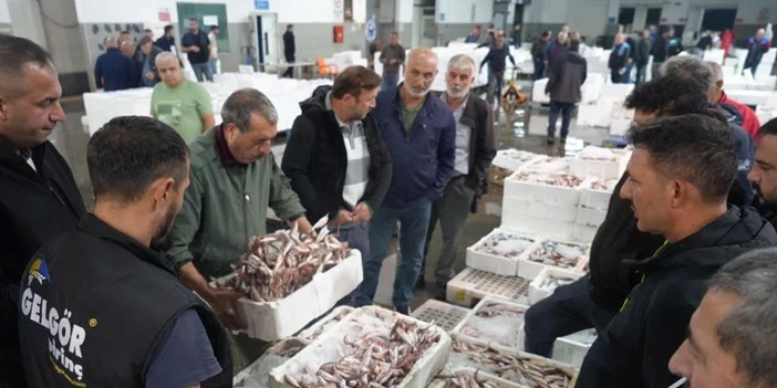Samsun Balık Hali’nde mezatta yoğunluk