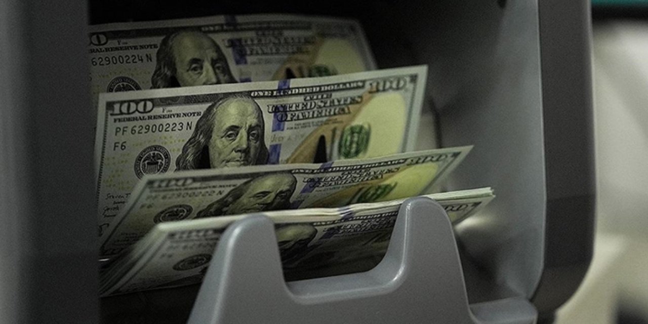 Şirketlerin net döviz açığı Temmuzda 182,6 milyar dolara geriledi