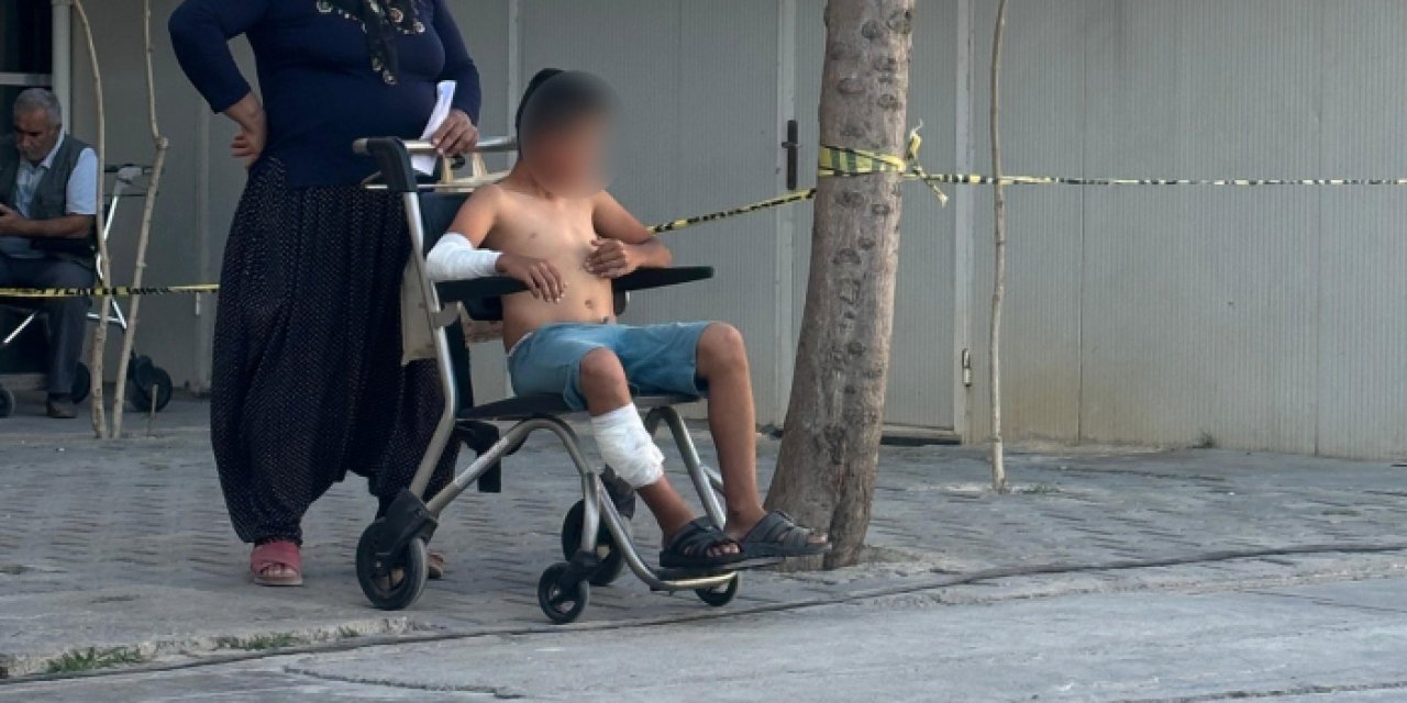 Sahipsiz köpek 11 yaşındaki çocuğu yaraladı