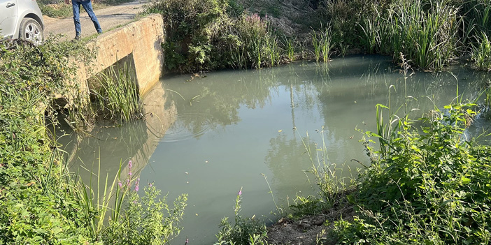 Sakarya’da fabrika atıkları krizi: Vatandaşlar çözüm bekliyor