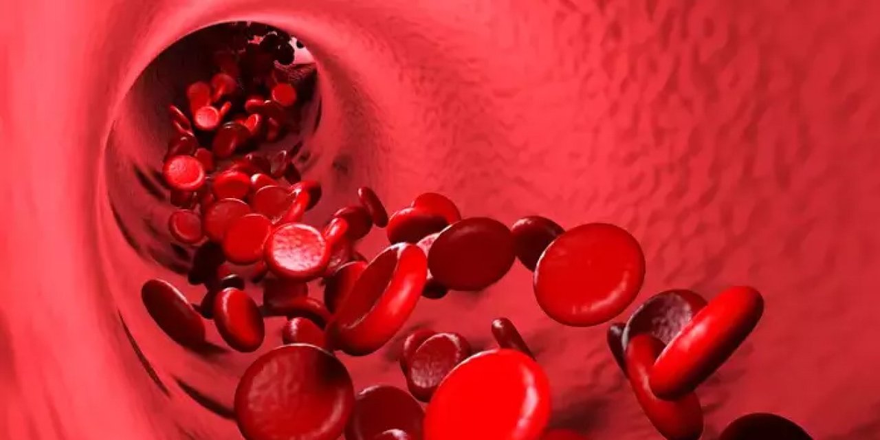 Kan grubu inmeyle bağlantılı çıktı: A grubu genç yaşta risk taşıyor