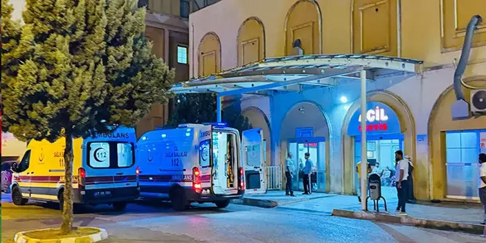 Midyat’ta trafik kazası: Eşeğe çarpan otomobil, sürücüyü de yaraladı